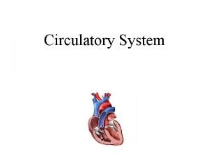 Circulatory System Circulation The process by which blood