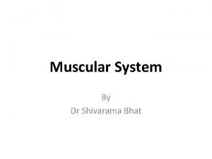 Muscular System By Dr Shivarama Bhat OBJECTIVES To