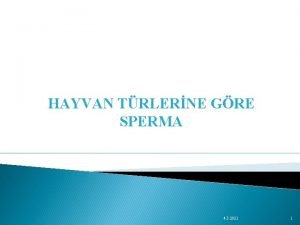 HAYVAN TRLERNE GRE SPERMA 4 3 2021 1