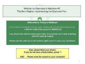 Webinar on Openness in Adoption 5 The Work