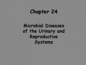 Chapter 24 Microbial Diseases of the Urinary and