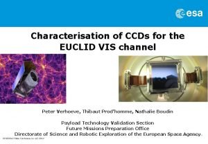 Characterisation of CCDs for the EUCLID VIS channel