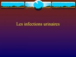 Les infections urinaires Introduction v Trs grande frquence