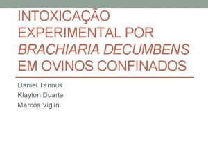 INTOXICAO EXPERIMENTAL POR BRACHIARIA DECUMBENS EM OVINOS CONFINADOS