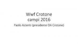 Wwf crotone