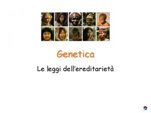 Genetica Le leggi dellereditariet Genetica Geni e alleli