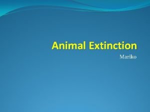 Animal Extinction Mariko 1 Problem 1 1 Present