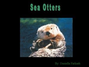 By Daniella Farkash Sea otters have a small