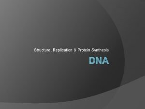 Structure Replication Protein Synthesis DNA DNA DNA deoxyribonucleic