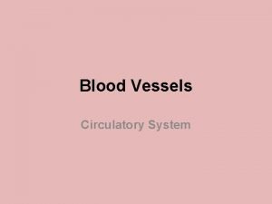 Blood Vessels Circulatory System Blood vessels are organs
