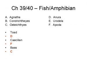 Cyclostomata are fish _____.