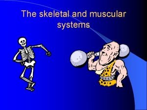 The skeletal and muscular systems Bones and muscles