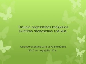 Traupio pagrindins mokyklos vietimo stebsenos rodikliai Pareng direktor