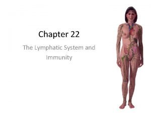 Chapter 22 lymphatic system and immunity