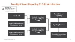 True Sight Smart Reporting 11 3 01 Architecture