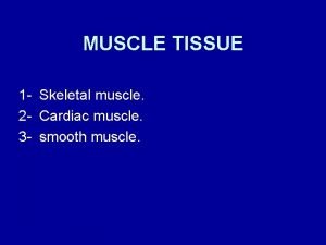 MUSCLE TISSUE 1 Skeletal muscle 2 Cardiac muscle