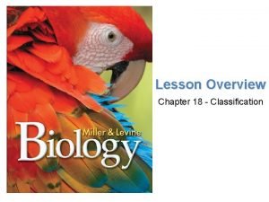 Lesson Overview Finding Order in Diversity Lesson Overview