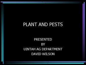 PLANT AND PESTS PRESENTED BY UINTAH AG DEPARTMENT