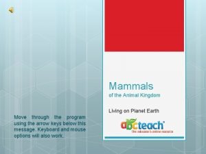 Mammals of the Animal Kingdom Living on Planet