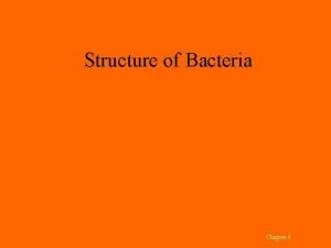 Structure of Bacteria Chapter 4 Size of Bacteria