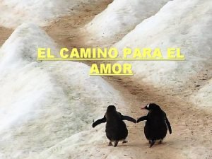 El amor es el camino El amor es el camino