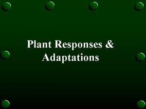 Plant Responses Adaptations Plant Hormones o Hormone a