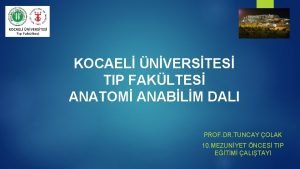 KOCAEL NVERSTES TIP FAKLTES ANATOM ANABLM DALI PROF