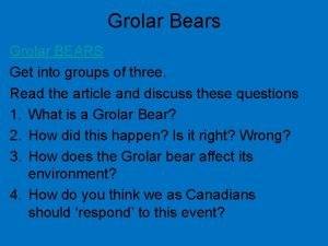Grolar Bears Grolar BEARS Get into groups of