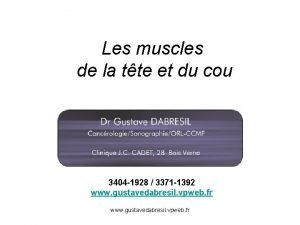 Muscles sous occipitaux