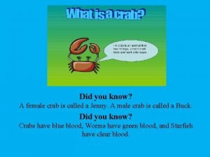 Female crab called