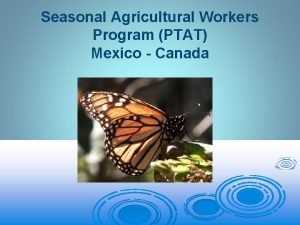 Seasonal Agricultural Workers Program PTAT Mexico Canada Background
