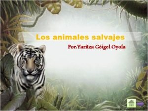 Los animales salvajes Por Yaritza Gigel Oyola Mensaje