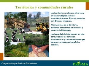 Territorios y comunidades rurales Los territorios rurales son