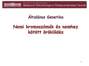 ltalnos Genetika Nemi kromoszmk s nemhez kttt rklds