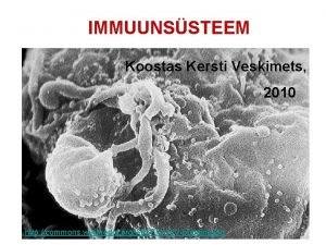 IMMUUNSSTEEM Koostas Kersti Veskimets 2010 http commons wikimedia