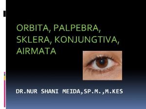 ORBITA PALPEBRA SKLERA KONJUNGTIVA AIRMATA DR NUR SHANI