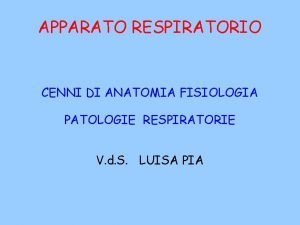 APPARATO RESPIRATORIO CENNI DI ANATOMIA FISIOLOGIA PATOLOGIE RESPIRATORIE