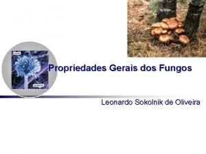 Propriedades Gerais dos Fungos Leonardo Sokolnik de Oliveira