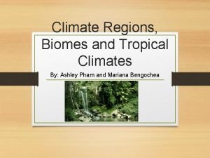 Climate Regions Biomes and Tropical Climates By Ashley