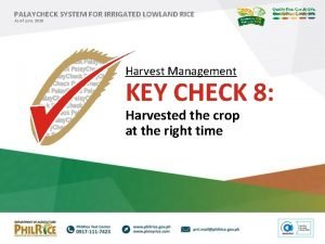 PALAYCHECK SYSTEM FOR IRRIGATED LOWLAND RICE As of