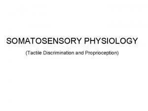 SOMATOSENSORY PHYSIOLOGY Tactile Discrimination and Proprioception Anterolateral and