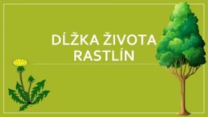 Viacročné rastliny