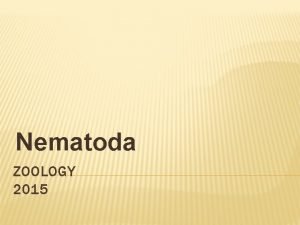 Nematoda ZOOLOGY 2015 PHYLUM NEMATODA Adaptive Benefits of