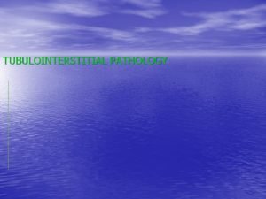 TUBULOINTERSTITIAL PATHOLOGY Disorders of tubules interstitium These are