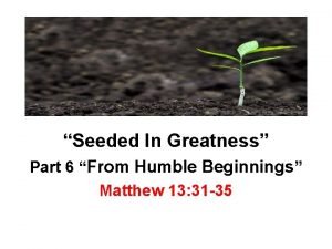Seeded In Greatness Part 6 From Humble Beginnings