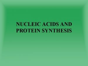 NUCLEIC ACIDS AND PROTEIN SYNTHESIS QUESTION 1 DNA