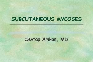 SUBCUTANEOUS MYCOSES Sevtap Arikan MD SUBCUTANEOUS MYCOSES Sporotrichosis