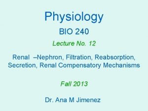 Physiology BIO 240 Lecture No 12 Renal Nephron