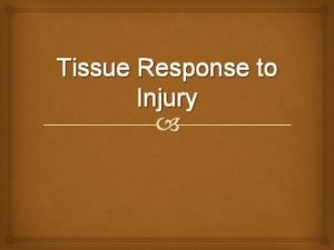 Tissue Response to Injury Healing Process Three Phases