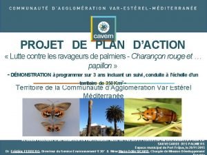 PROJET DE PLAN DACTION Lutte contre les ravageurs